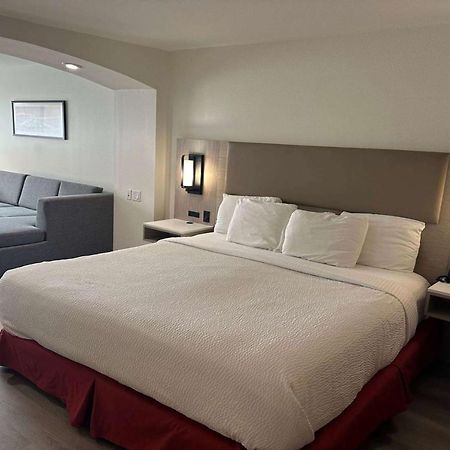 La Quinta By Wyndham Albuquerque Midtown Newly Renovated Hotel Bagian luar foto